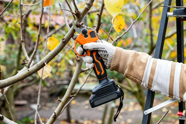 Customized lithium battery solution for agricultural pruning machines